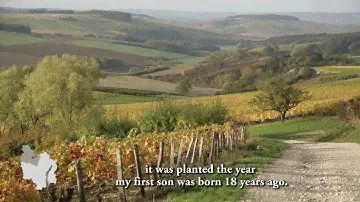 Blason de Bourgogne - Crémant de Bourgogne Rosé Brut La Réserve - Famille Griffe Chitry