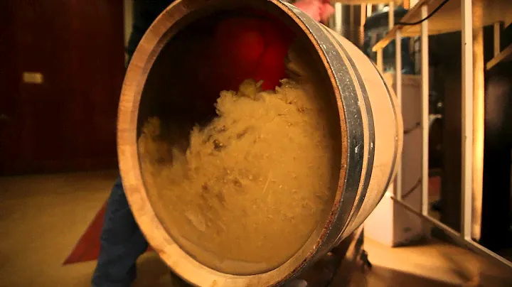 See Inside a Wine Barrel | Batonnage Winemaking Process | Sur Lie Aging | Wine Education Videos