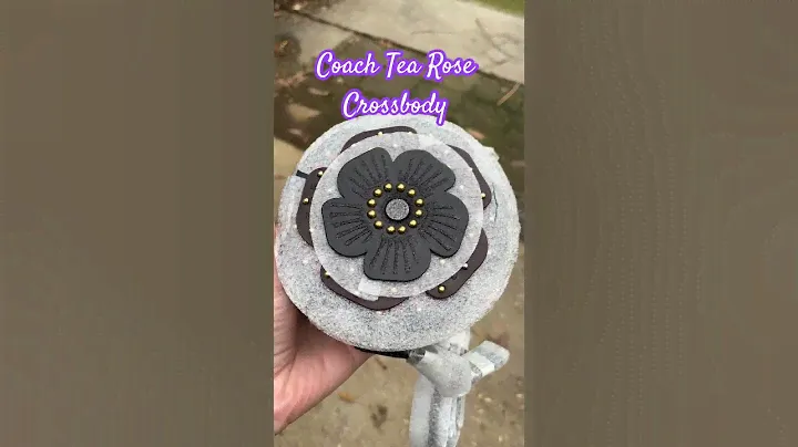 Love this little cutie 🥰 #coach #tearose #crossbodybag #coachbag #coachtearose