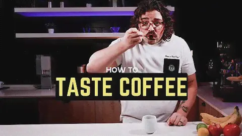 HOW TO TASTE COFFEE: A Lexicon for Coffee Lovers