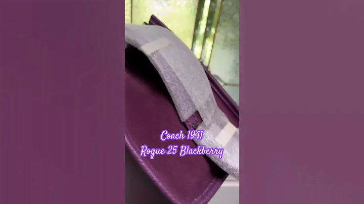 Coach 1941 Rogue 25 Blackberry