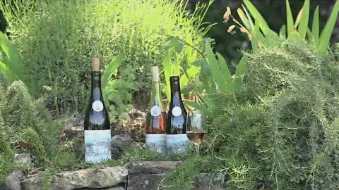 Chateau la Сanorgue winery