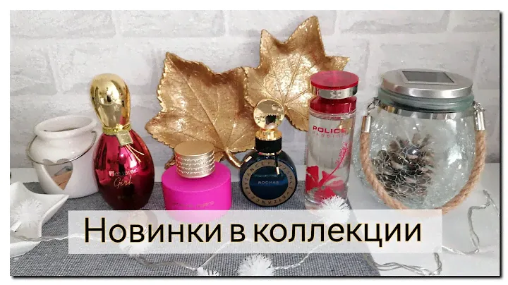 Мои новые ПАРФЮМЫ в коллекции 😎🍁
