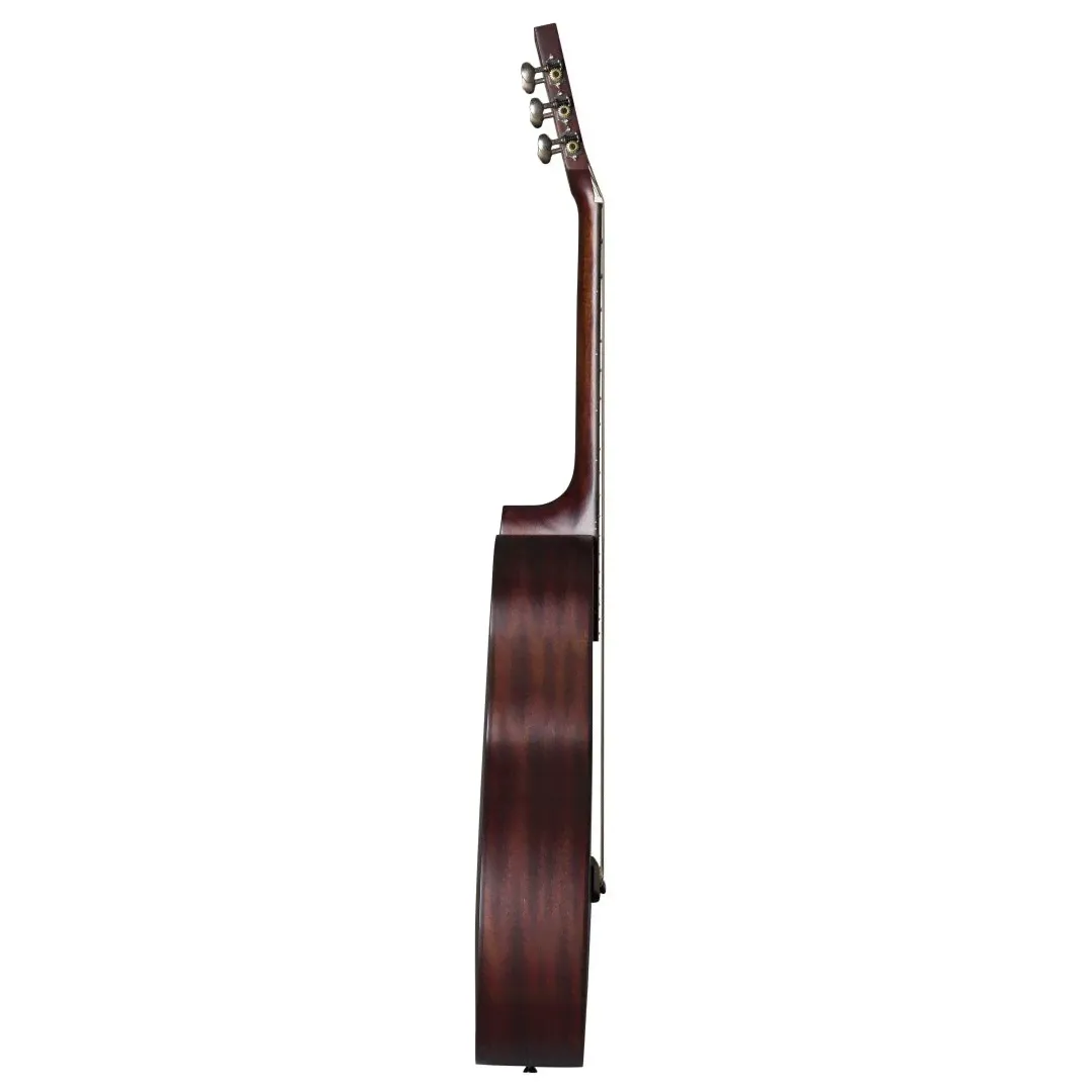 Baton Rouge X11C/P-SCR акустические гитары-2