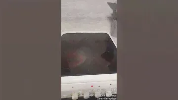 плита делюкс