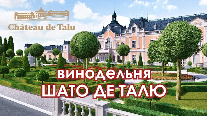 Винодельня Шато Де Талю.  Самый ожидаемый дебют российского виноделия.